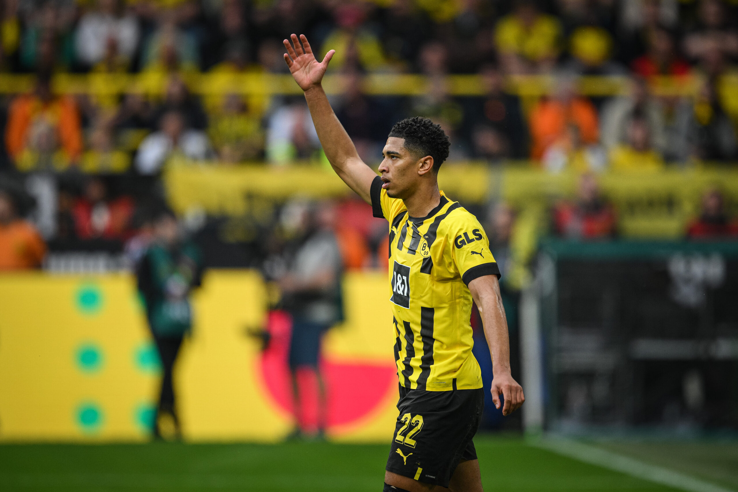 Etapas finales en las negociaciones por Bellingham entre Real Madrid y Dortmund. Foto: Getty Images.